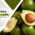 Mexico Avocado Exports To The USA Been Halted Due To “A Threat”