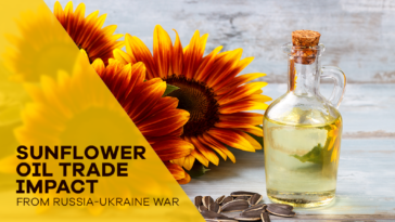 Sunflower Oil Prices To Surge Amid The Russia Invasion On Ukraine