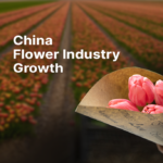 China Flower Exports 'Rose' In 2021, Industry Will Flourish