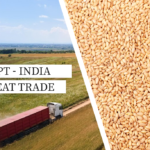 Egypt Approves India For Wheat Imports Of About 1 Million Tons