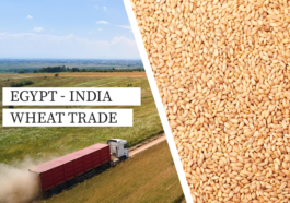 Egypt Approves India For Wheat Imports Of About 1 Million Tons