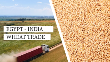 Egypt Approves India For Wheat Imports Of About 1 Million Tons