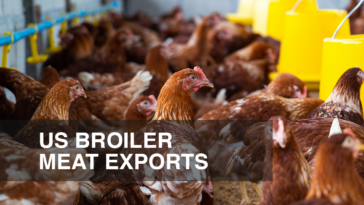 US Bird Flu Outbreak Will Affect Its Top Poultry Meat Exports