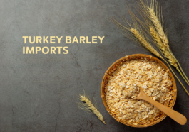 Turkey Barley Imports