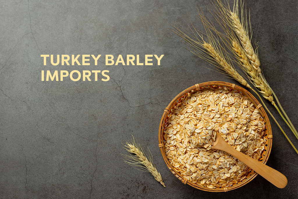 Turkey Barley Imports