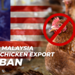 Malaysia Chicken Export Ban, Secures Its Own Domestic Supplies