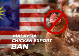 Malaysia Chicken Export Ban, Secures Its Own Domestic Supplies