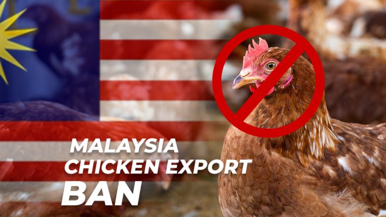 Malaysia Chicken Export Ban, Secures Its Own Domestic Supplies