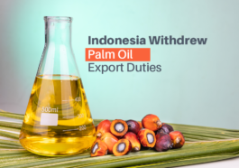 Indonesia Withdrew Palm Oil Export Duties