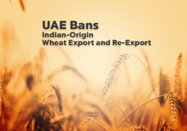 UAE Bans Indian-Origin Wheat Export and Re-Export