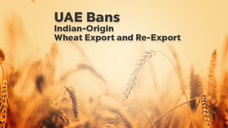 UAE Bans Indian-Origin Wheat Export and Re-Export