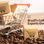 Brazil’s Coffee Exports Overview