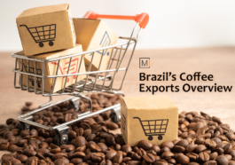 Brazil’s Coffee Exports Overview