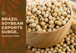 Brazil Soybean Exports Surge, US Exports Down