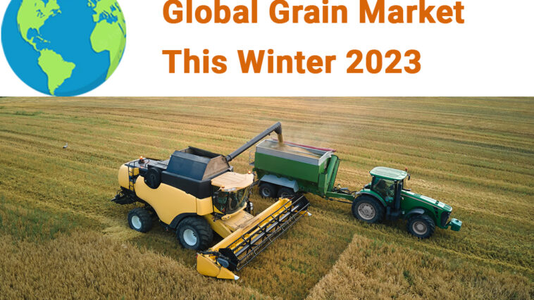 Global Grain Market This Winter 2023