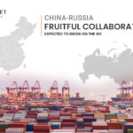 China-Russia Fruitful Collaboration