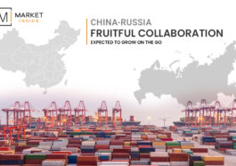 China-Russia Fruitful Collaboration