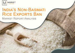 India’s Non-Basmati Rice Exports Ban – Market Report Analysis