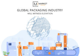 Global Packaging Industry Will Witness Elevation