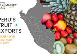 Peru’s Fruit Exports Increase in First Half of 2023