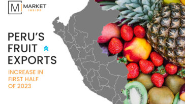 Peru’s Fruit Exports Increase in First Half of 2023