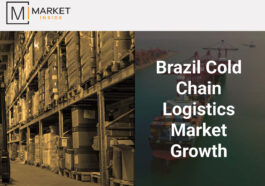 Brazil Cold Chain Logistics Market Growth