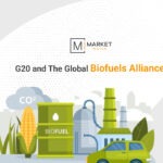 bio-fuel-g20