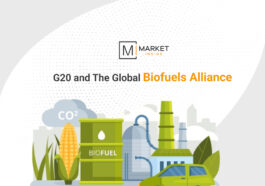 bio-fuel-g20