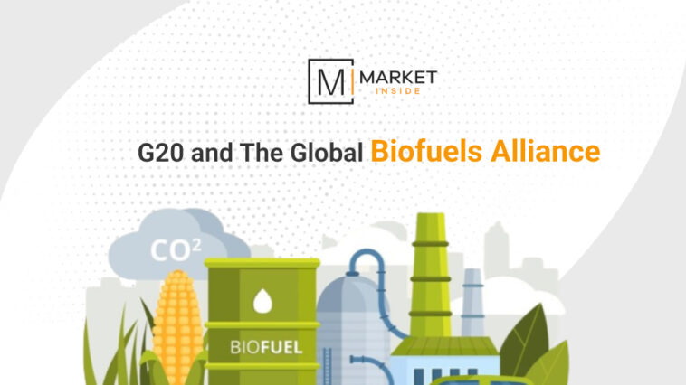 bio-fuel-g20